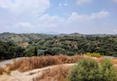 Chalet independiente con terreno en venta en Loja ref: TR257124 foto