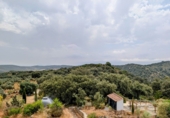 Chalet independiente con terreno en venta en Loja ref: TR257124 foto