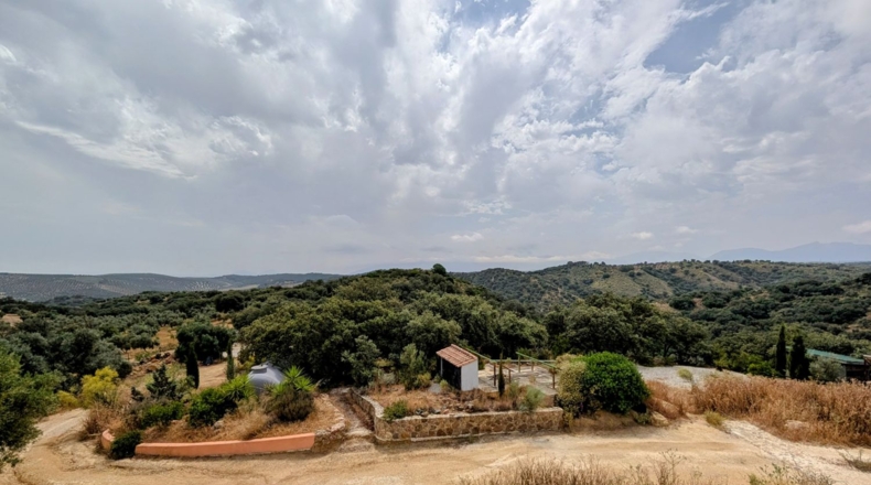 Granada - Loja - 29000m2