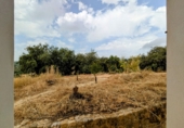 Chalet independiente con terreno en venta en Loja ref: TR257124 foto