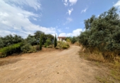 Chalet independiente con terreno en venta en Loja ref: TR257124 foto