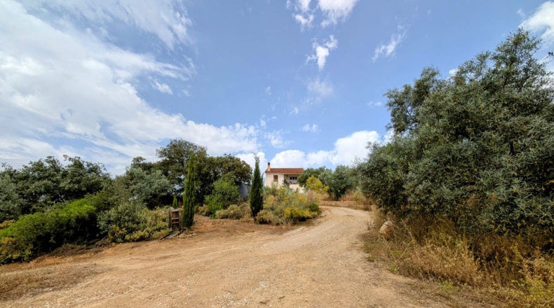 Granada - Loja - 29000m2