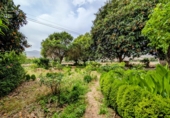 Villa con terreno en venta en Loja ref: TR256132 foto
