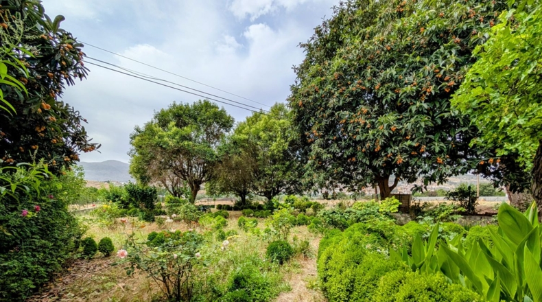 Granada - Loja - 16000m2