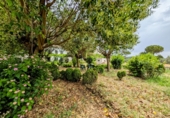 Villa con terreno en venta en Loja ref: TR256132 foto