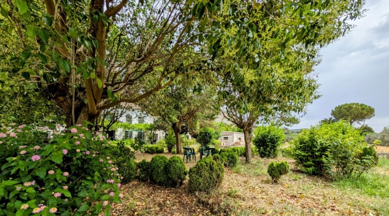 Granada - Loja - 16000m2