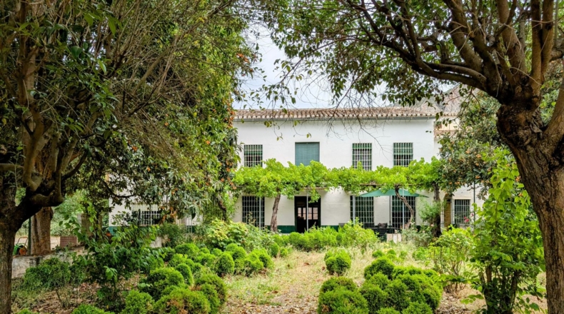 Granada - Loja - 16000m2