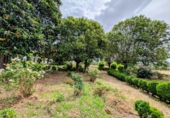 Villa con terreno en venta en Loja ref: TR256132 foto