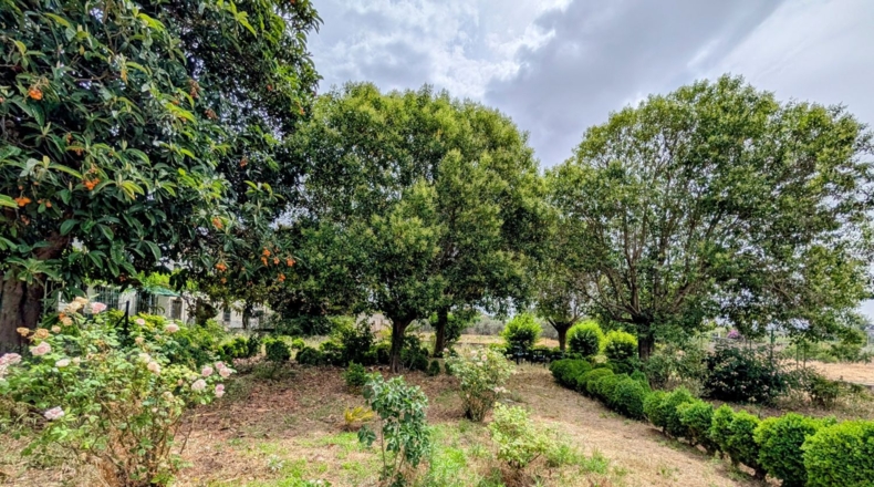 Granada - Loja - 16000m2