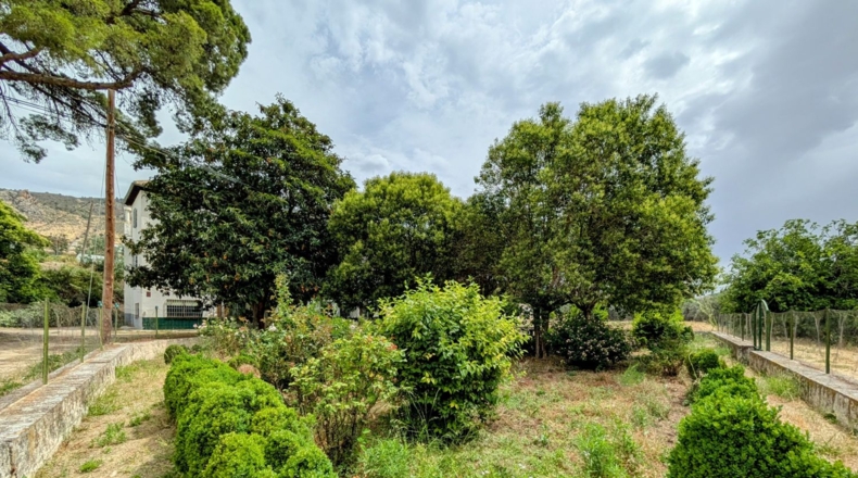 Granada - Loja - 16000m2