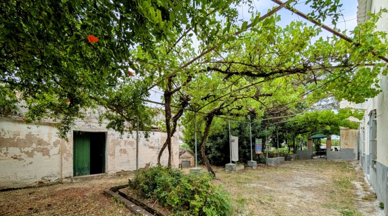 Granada - Loja - 16000m2