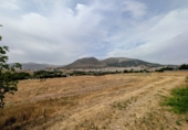 Villa con terreno en venta en Loja ref: TR256132 foto