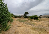 Villa con terreno en venta en Loja ref: TR256132 foto