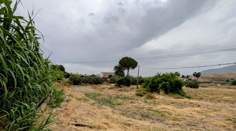 Granada - Loja - 16000m2