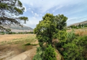 Villa con terreno en venta en Loja ref: TR256132 foto