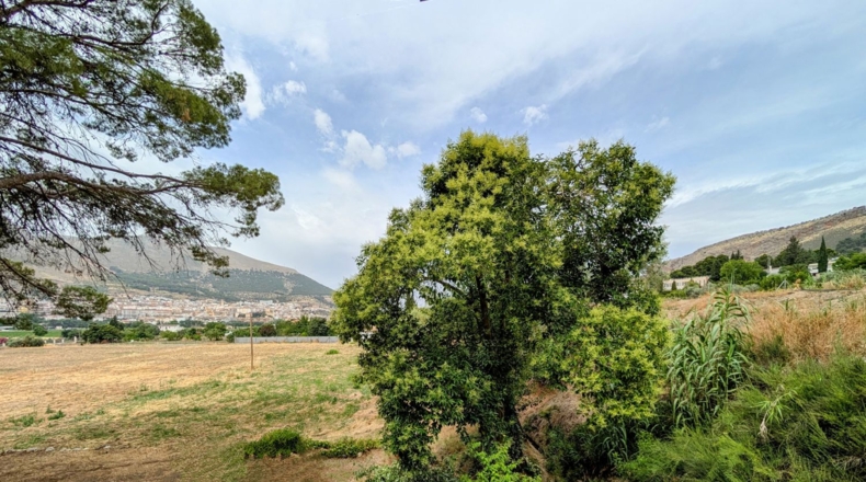 Granada - Loja - 16000m2