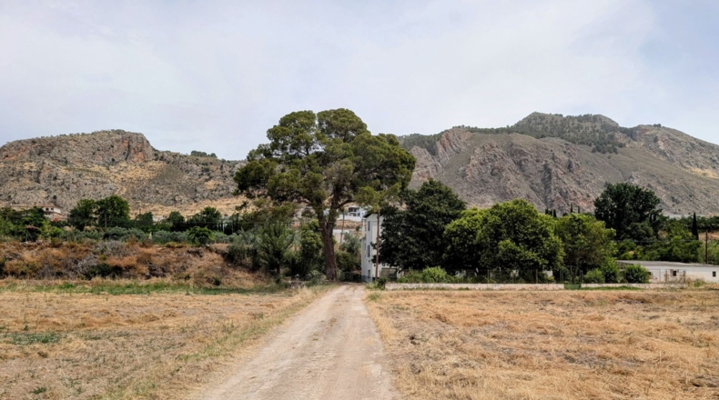 Granada - Loja - 16000m2