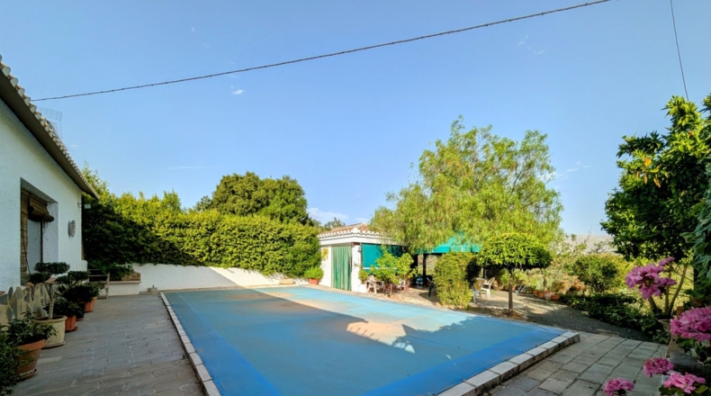 Granada - Loja - 3200m2