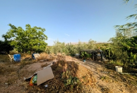 Foto 18