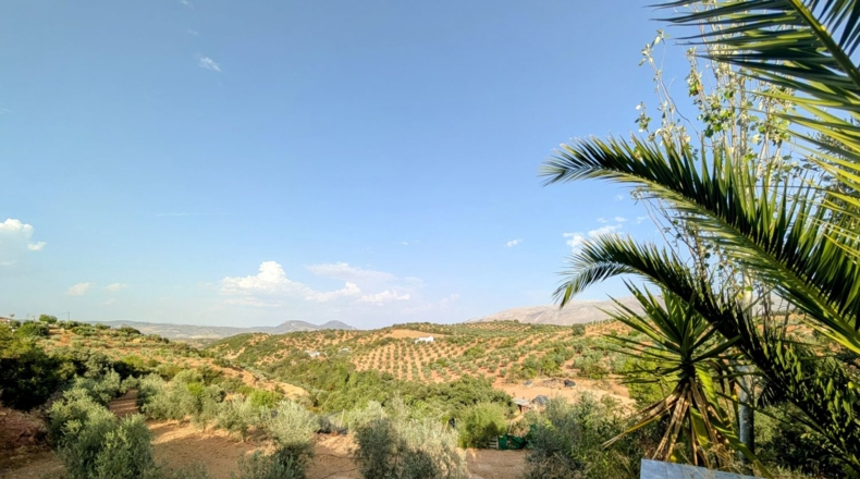 Granada - Loja - 3200m2