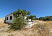 Casa de camp amb terreny en venda a Loja ref.: TR306295 foto