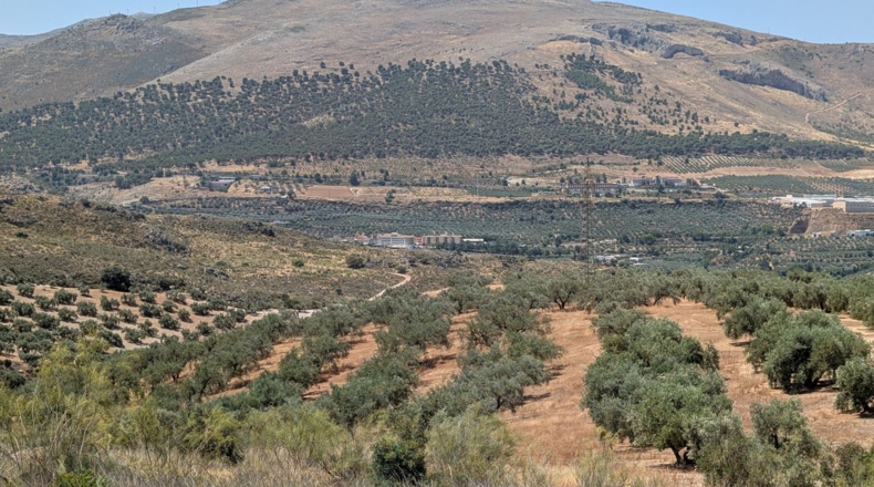 Granada - Loja - 20799m2