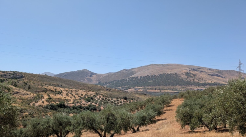 Granada - Loja - 20799m2