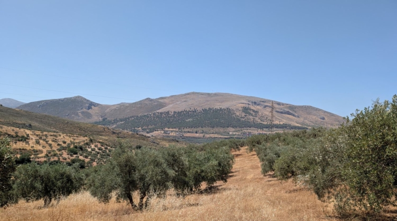 Granada - Loja - 20799m2
