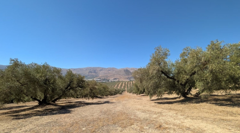 Granada - Loja - 11559m2