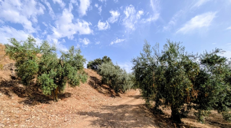 Granada - Loja - 59073m2