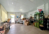 Village house for sale in Salar ref: TR355028 photo
