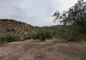 Casa de camp amb terreny en venda a Zagra ref.: TR360742 foto