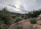 Casa de camp amb terreny en venda a Zagra ref.: TR360742 foto