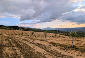 Loja 187123&nbsp;м²