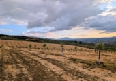 Finca rústica en venda a Loja ref.: TR360936 foto
