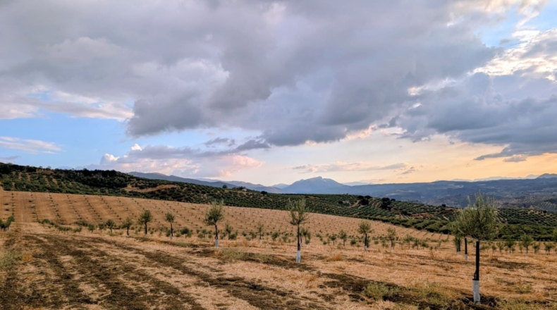 Гранада - Loja - 187123m2
