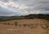 Finca rústica en venda a Loja ref.: TR360936 foto