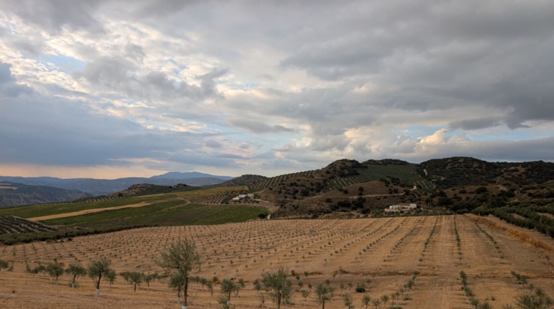 Гранада - Loja - 187123m2