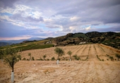 Finca rústica en venda a Loja ref.: TR360936 foto