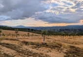 Finca rústica en venda a Loja ref.: TR360936 foto
