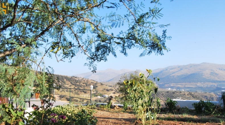 Granada - Loja - 227m2