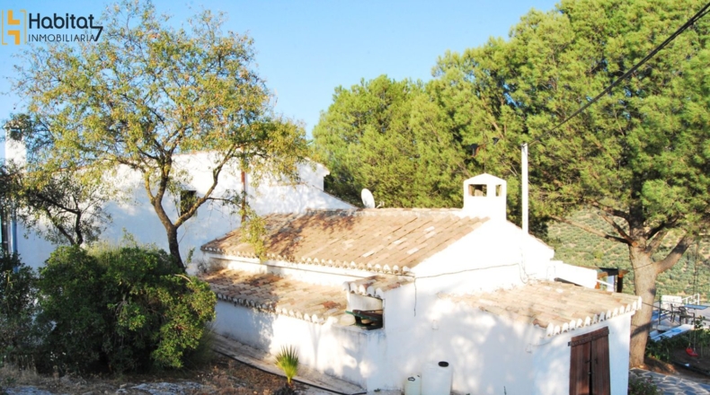 Granada - Loja - 227m2
