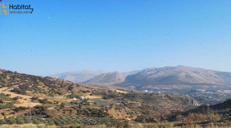 Granada - Loja - 227m2