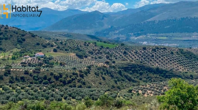Granada - Loja - 227m2