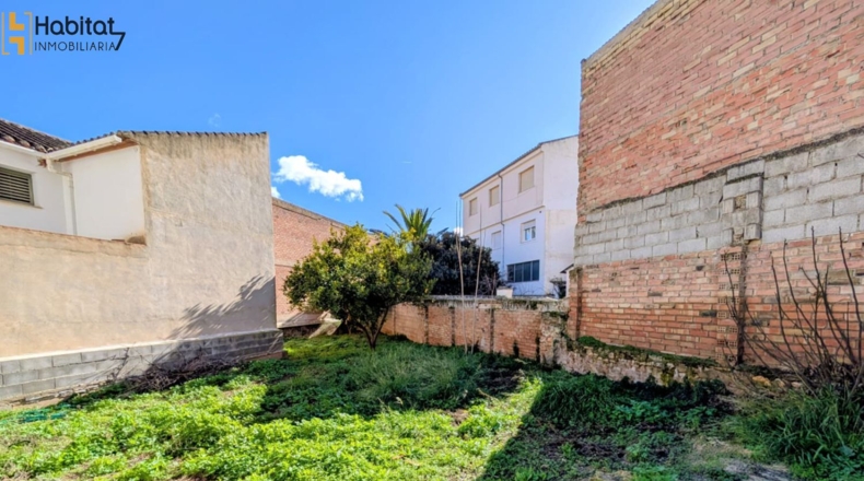Гранада - Loja - 453m2
