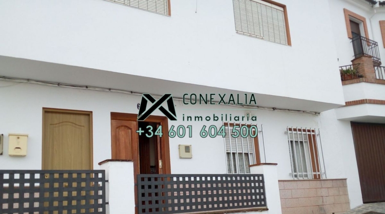 Cádiz - Setenil de las Bodegas - 237m2