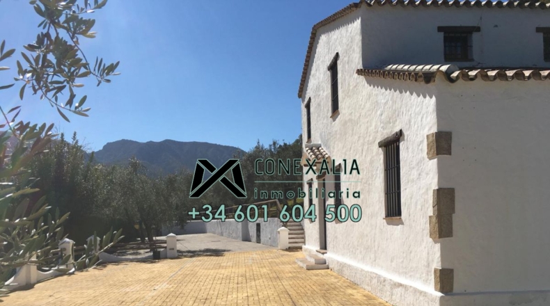 Cádiz - Zahara - 70000m2