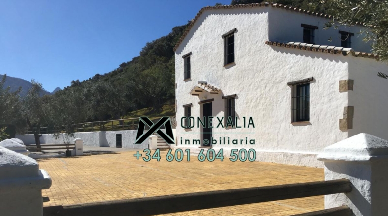 Cádiz - Zahara - 70000m2