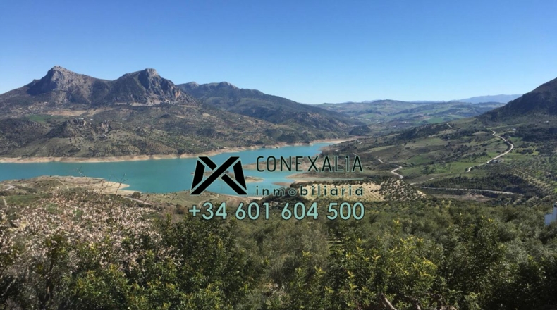 Cádiz - Zahara - 70000m2