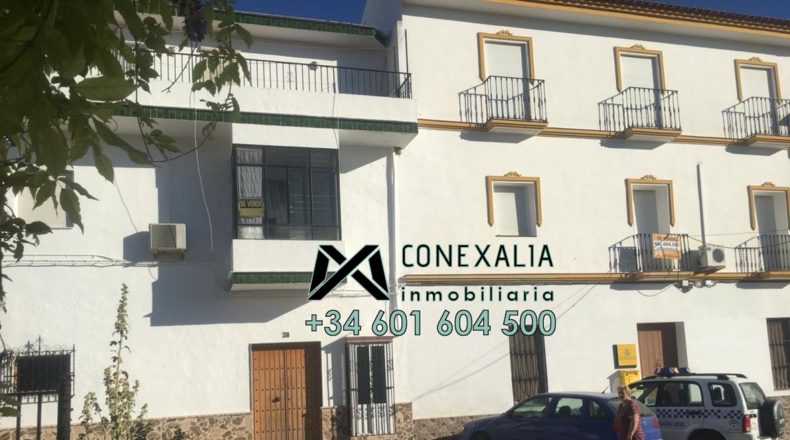 Cádiz - Torre Alháquime - 300m2